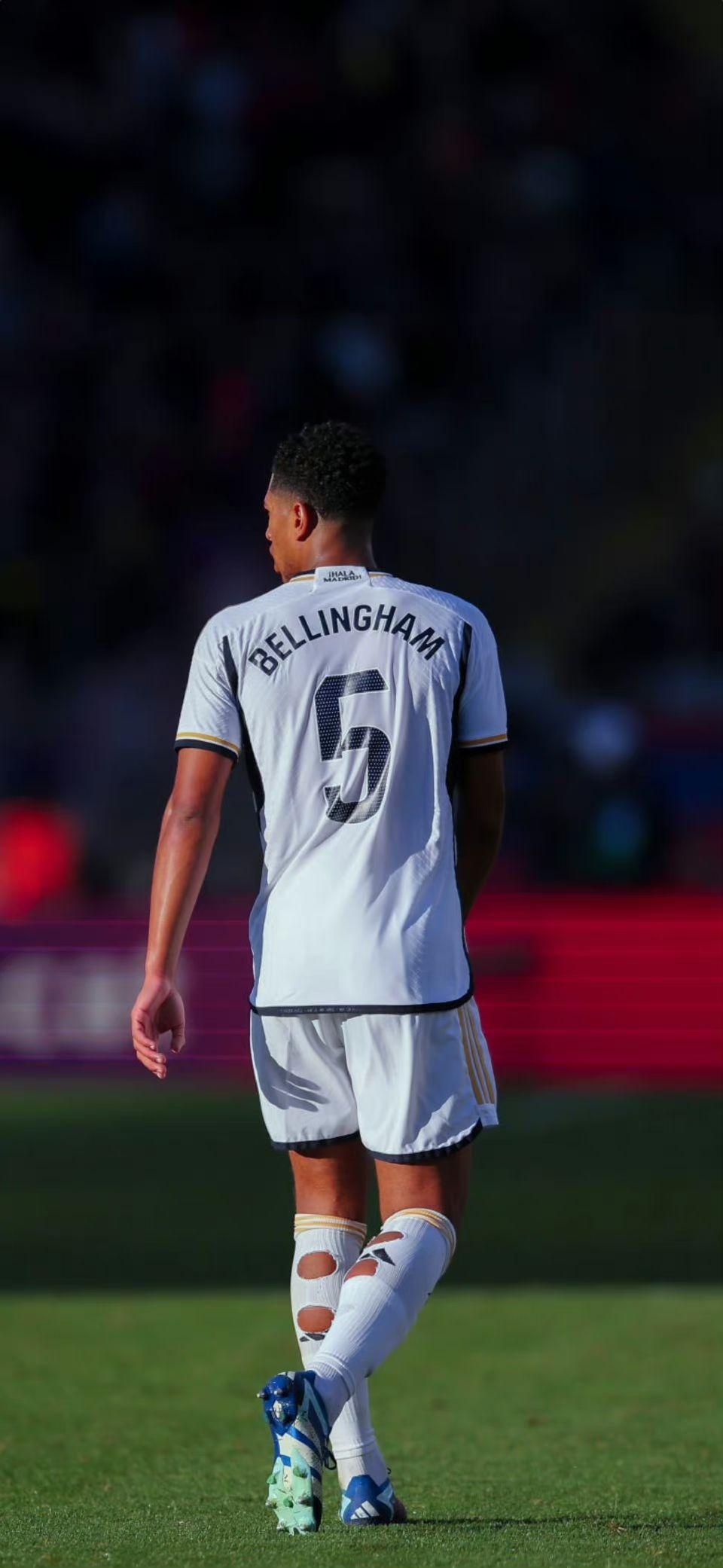 向了格伊 向了格伊