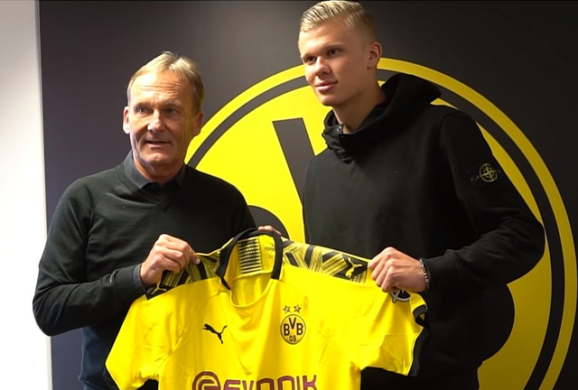 专注力训练 专注力训练